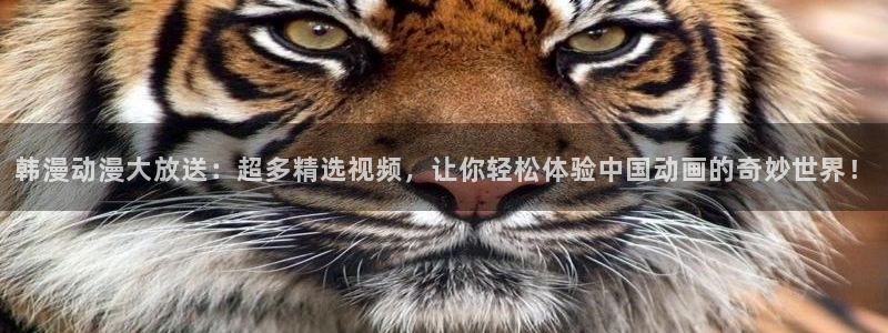 禁漫天堂正版网