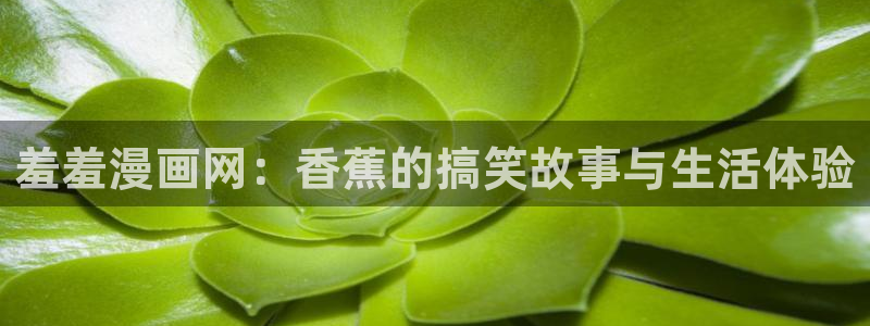 禁漫天堂下载动漫全免费