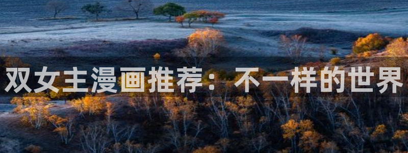 age专注动漫的门户网站