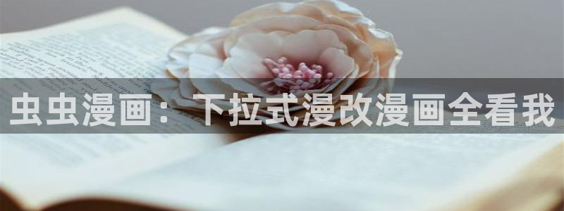 禁漫天堂官网在线入口