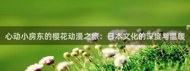 禁漫天堂樱花：心动小房东的樱花动漫之旅：日本文化的深度与温暖